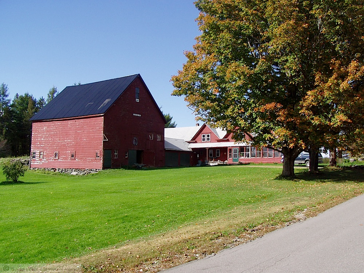 Wyman Farm.Milo